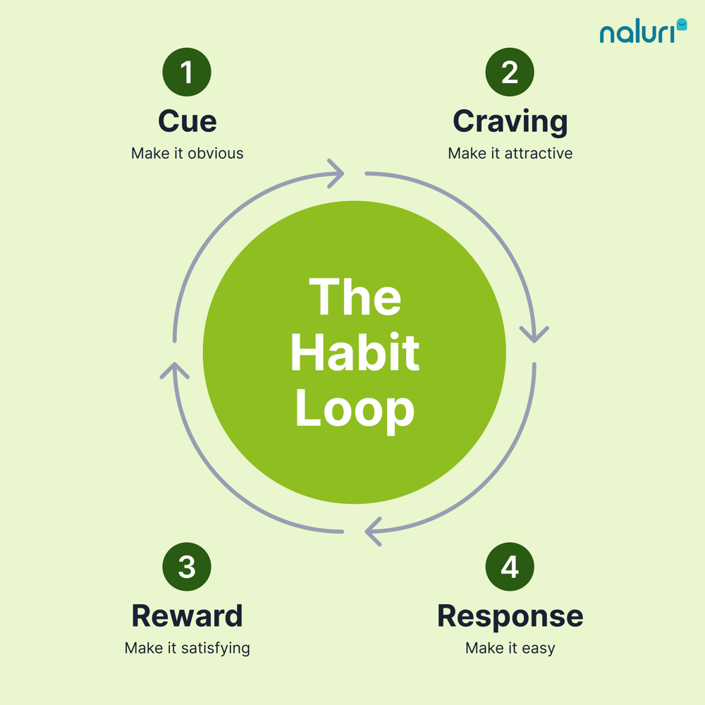 The Habit Formation Model: How to Build Habits That Last - Naluri